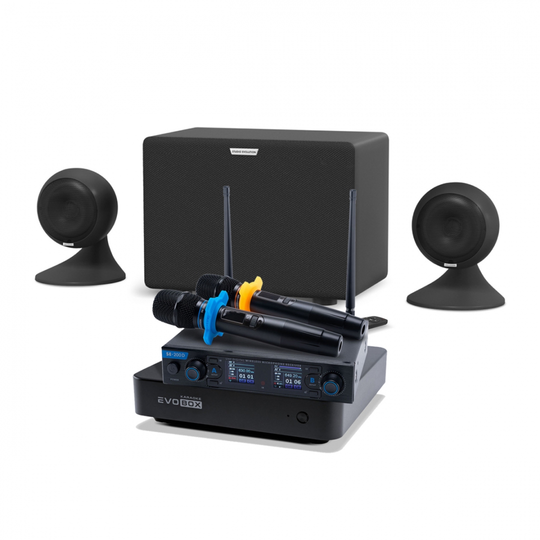 караоке-комплект EVOBOX + EvoSound Sphere 2.1 в Тюмени
