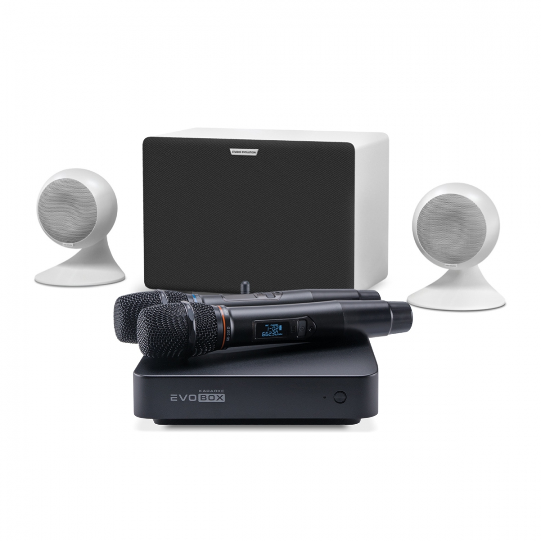 караоке-комплект EVOBOX Classic + EvoSound Sphere 2.1 в Тюмени