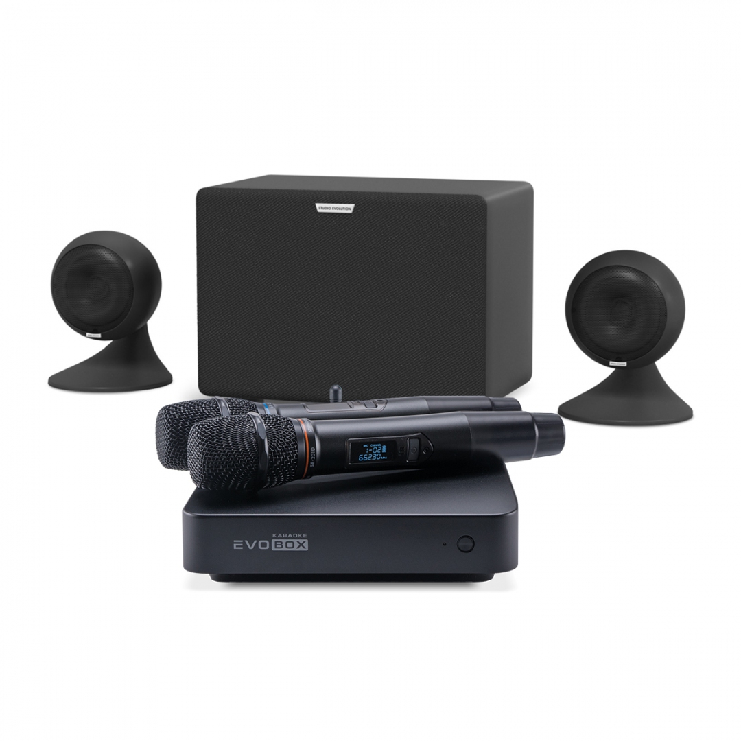 караоке-комплект EVOBOX Plus + EvoSound Sphere 2.1 в Тюмени