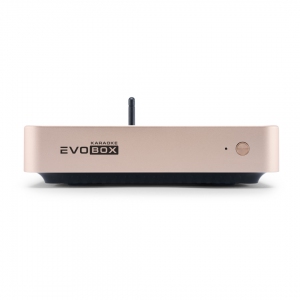 EVOBOX Plus караоке-система для дома в Тюмени