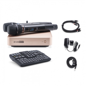EVOBOX Plus караоке-система для дома в Тюмени