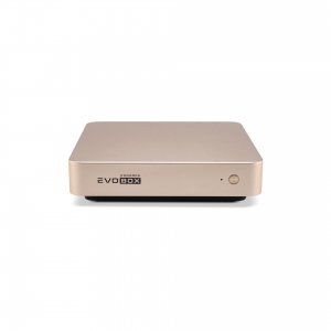 EVOBOX с микрофонами в Тюмени
